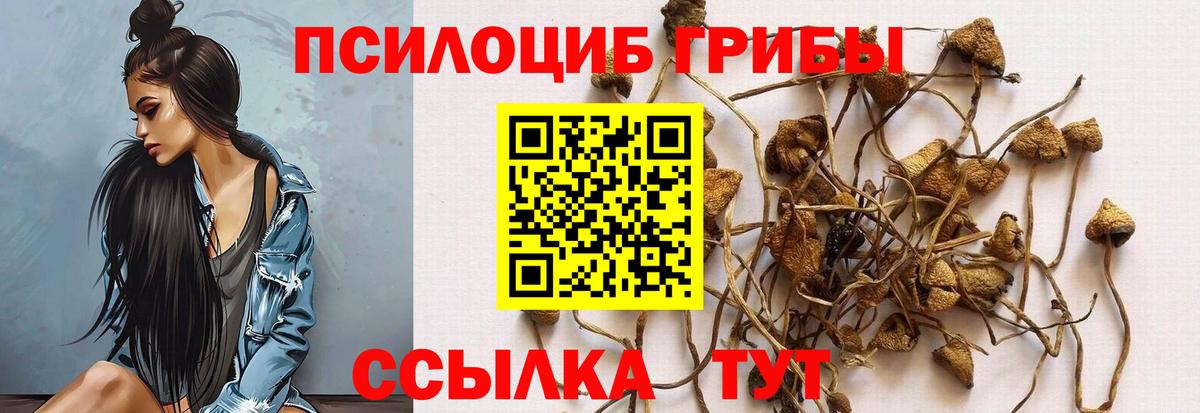 Галлюциногенные грибы мухоморы Североморск